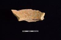 陶罐藏品圖，第2張